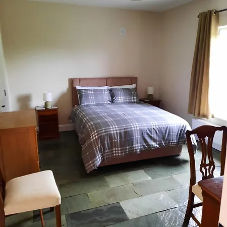 컨트리하우스 Clone Manor Ballyragget