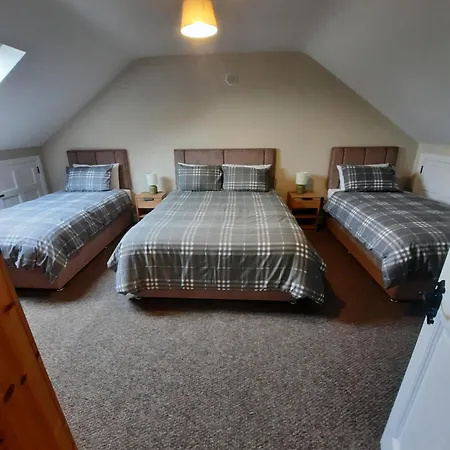 Clone Manor 컨트리하우스 Ballyragget