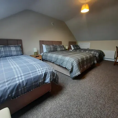 Clone Manor 컨트리하우스 Ballyragget