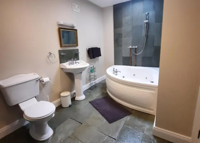 Landsted Clone Manor Ballyragget